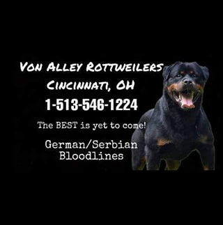 Von Alley Rottweilers | Won Alley Rottweilers in Cincinnati Ohio