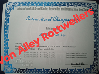 Von Alley Rottweilers | Won Alley Rottweilers in Cincinnati Ohio