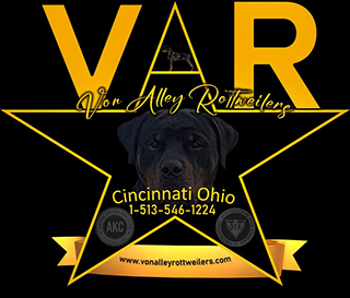 Von Alley Rottweilers | Won Alley Rottweilers in Cincinnati Ohio