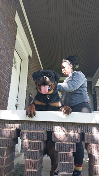 Von Alley Rottweilers | Won Alley Rottweilers in Cincinnati Ohio